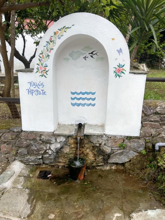 Flower House Chorefton Esterno foto